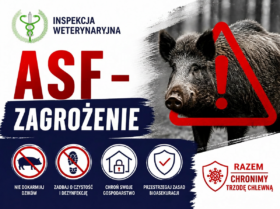 Powiatowy Lekarz Weterynarii w Kutnie przypomina – chrońmy gospodarstwa przed ASF